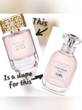 Coach Dreams Dupe 💖 NOT SELLING